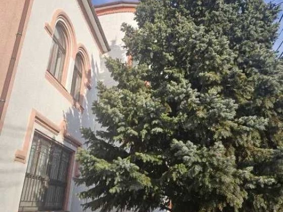 (4) Дом в Царском селе на  ул. Мира / ул Каштановая Одеса