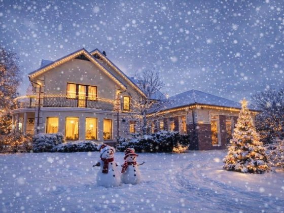 Будинок в КМ “Польське містечко”, Софіївська Борщагівка, 17 соток Софиевская Борщаговка