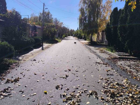 Продается участок с домом с ландшафтным дизайном на Таирова Одесса