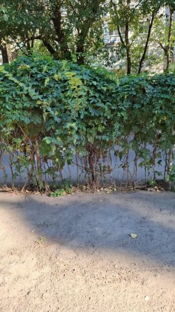 Продаётся место на стоянке Жолио Кюри угол Бувалкина ( Бочарова) - фото 1