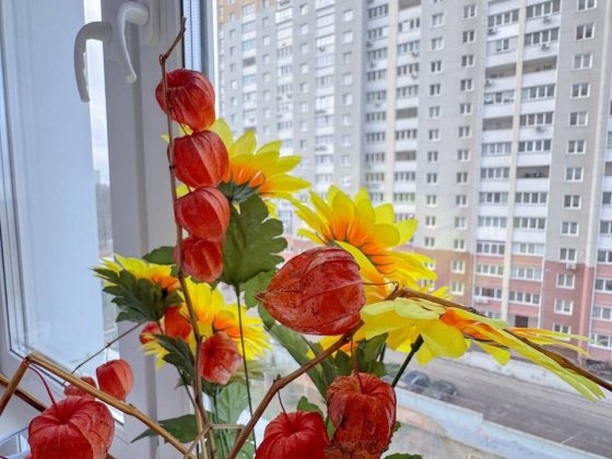 Простора 2 кімнатна Кургузова ЖК Ярославичі 2 Вишгород Вышгород