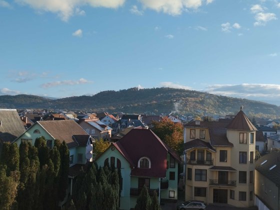 Двокімнатна Росвигово власник під ремонт Мукачево