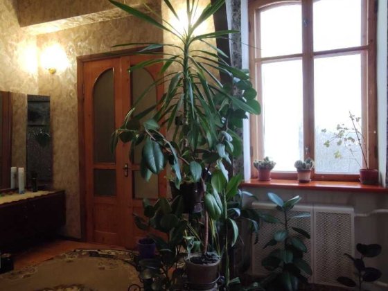 Унікальна 6-кімнатна квартира в центрі міста! Хмельницкий