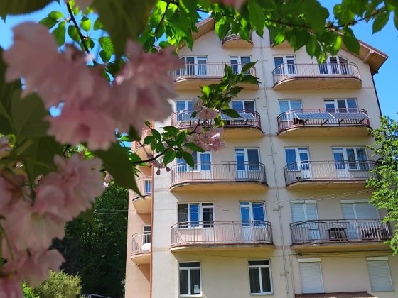 Ціну знижено! Продаємо 2к квартири курорт Поляна Сонячне Закарпаття Руська Поляна