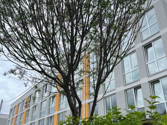 Продаж 2к 46м2 від забудовника! Газ, розтермінування! Святопетровское