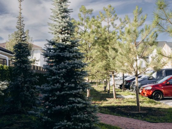 ‼️Однокімнатна квартира 31,65м2 від забудовника!‼️ Святопетрівське