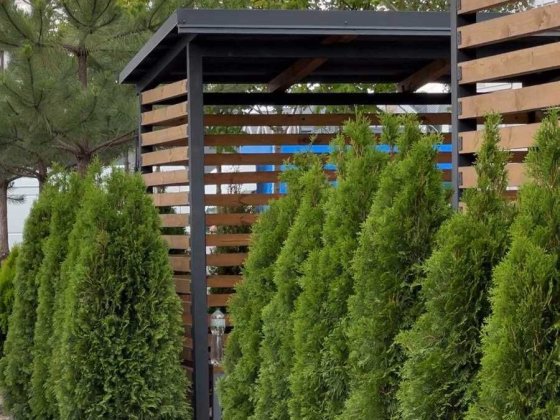 Квартира 42,99м2  з власним двориком від офіційного забудовника Святопетровское