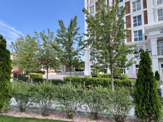 Продаю 1к квартиру в зданому 1-му будинку в ЖК Oxford, Чайки/власник Чайки