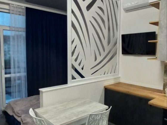 Бочарова квартира студия евроремонт,  мебель и техника-37 000 Ліски