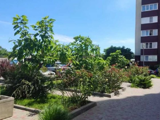 1-но комн. квартира в Золотой Эре Крижанівка