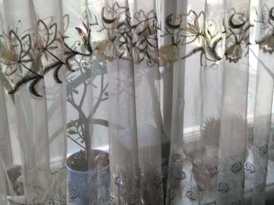 Продам кімнату в гуртожитку Збараж