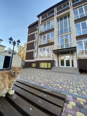 Центр Бучі! Продаж просторої 3 к квартири. Сертифікат - ТАК - фото 1