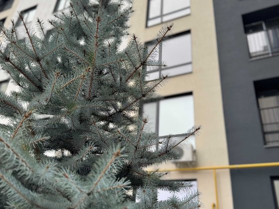 Квартира з новим ремонтом в Бучі! Ніхто не проживав! Без комісії! Буча