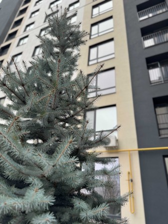 Квартира з новим ремонтом в Бучі! Ніхто не проживав! Без комісії! - фото 1