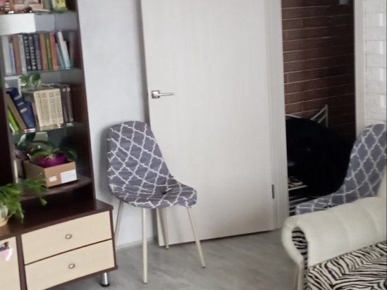 Квартира двокімнатна Раківка ( Крюків) Кременчук