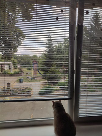 СРОЧНО!!! Продається 2-х кмн. Сталінка на 20-ом (Універмаг) - фото 1