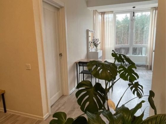 Однокімнатна.Сертифікат, Постанова.Мінімальне оформлення Ирпень