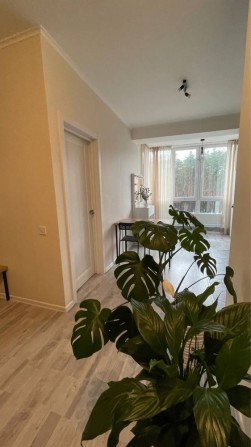 Однокімнатна.Сертифікат, Постанова.Мінімальне оформлення - фото 1