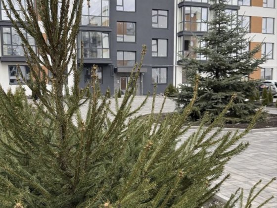 Продаж квартири від власника Ровно