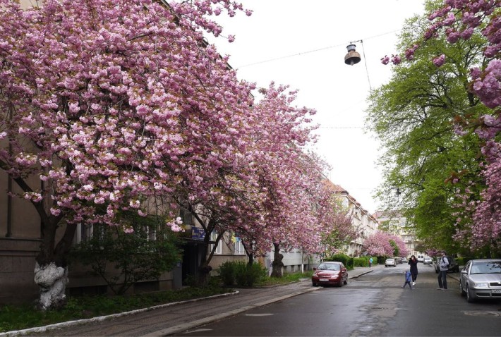 2 кімн з ремонтом в самому центрі - фото 1