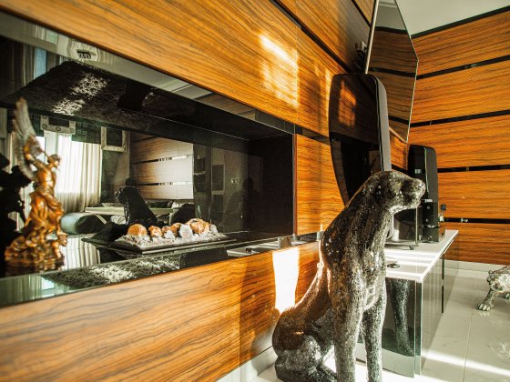 Розкішний двоярусний пентхаус преміум-класу на кордоні зі Словаччиною Ужгород