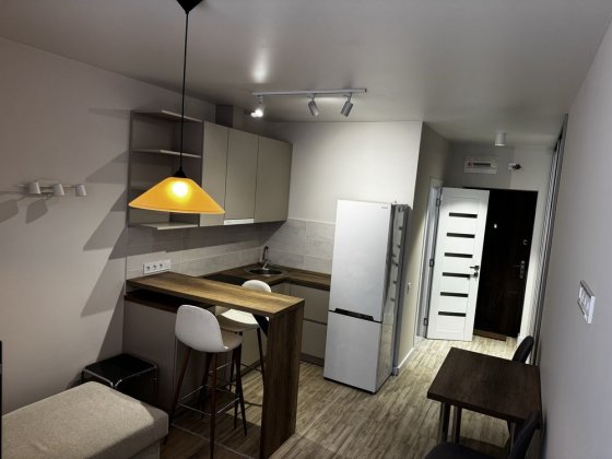 Смарт квартира 23,9 м2 з новим ремонтом і технікою, без комісії Київ