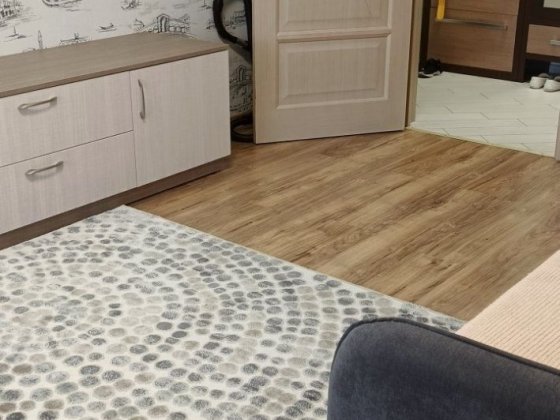 Продаж можливо Е -Відновлення 2 комнатная квартира вул.Ф.Ернста Київ