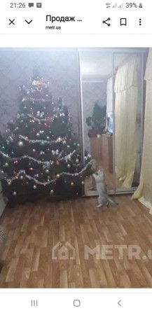 Сдам комнату в комуналочке - фото 1