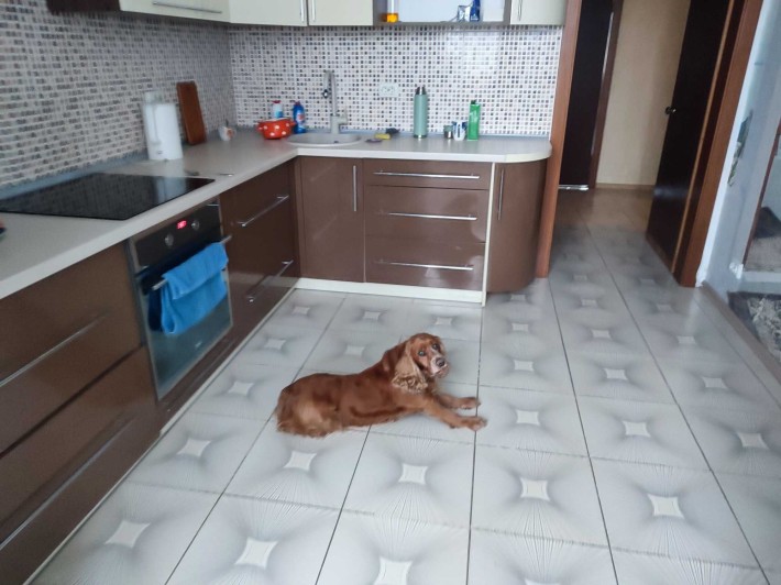 Здам кімнату в двокімнатній квартирі - фото 1