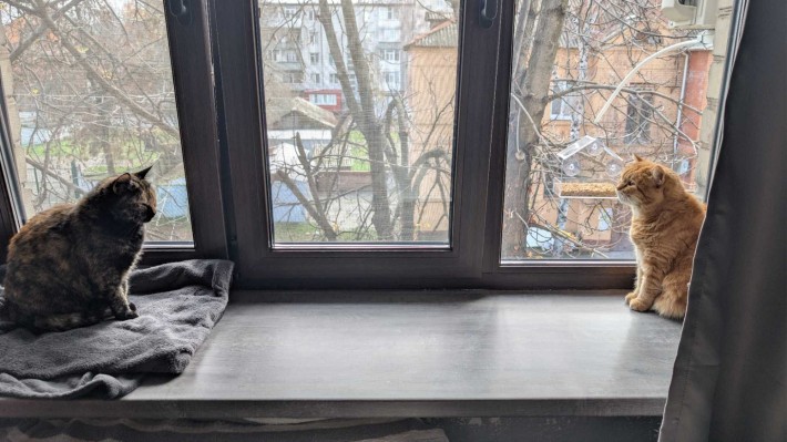 Кременчук від ВЛАСНИКА в оренду кімната центр - ТІЛЬКИ з тваринами - фото 1