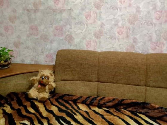 Здаю кімнату в часному домі Житомир