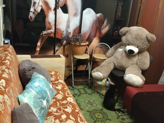 Сдам комнату для парня Одеса