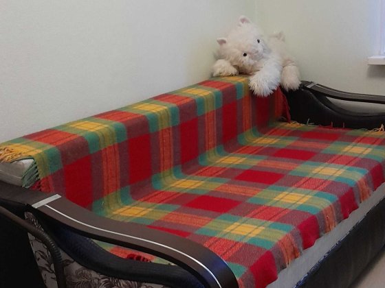 Здам кім.1 дів. Правди 33 Виноградар М.Оболонь,Нивки Київ