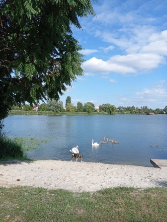 Здам хорошу кімнату в приватному будинку!За м. Горохів! - фото 1