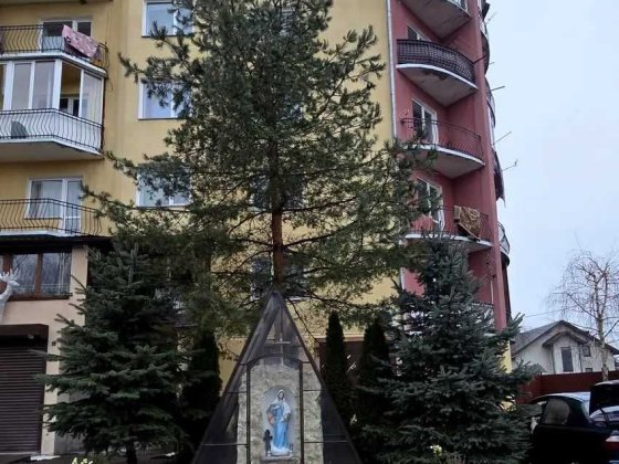 Здається   2-кім квартира з меблями та технікою Богородчаны