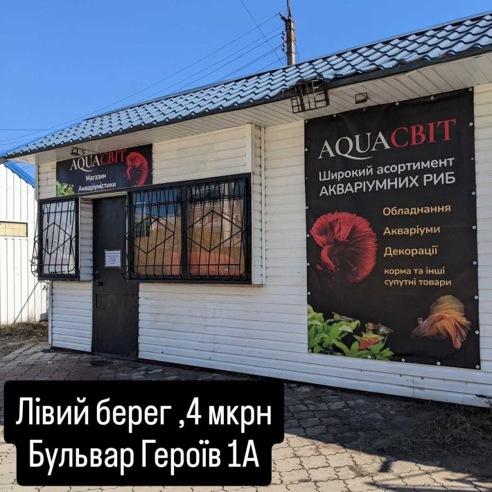 Аренда помещения 27 м² с прилегающей территорией - фото 1