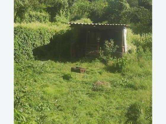 Здам будинок в Копилах Полтава