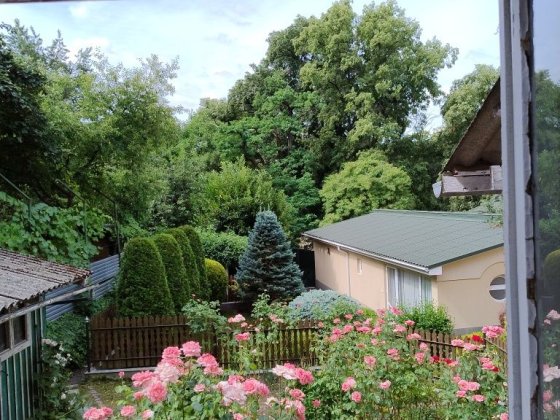 Будинок в самому центрі Ужгорода Ужгород