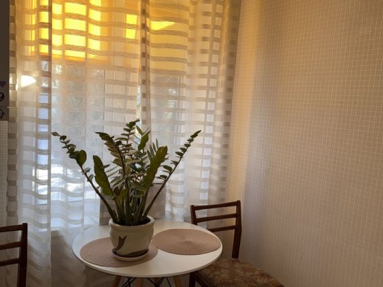 Оренда будинку Нивки/Лавіна Киев