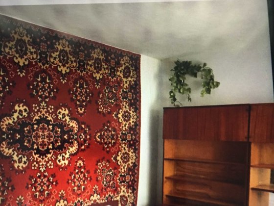 Сдам домик  из 3 комнат и кухни Винница