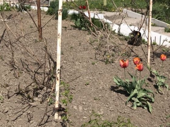 Аренда 2 комнаты, газ котёл Дніпро