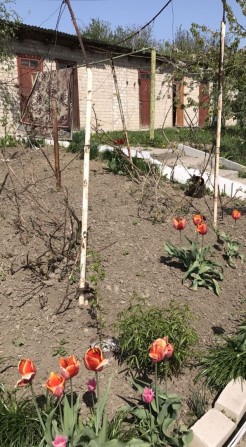 Аренда 2 комнаты, газ котёл - фото 1