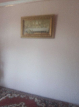 Сдаю дом.Большой дом с огородом - фото 1