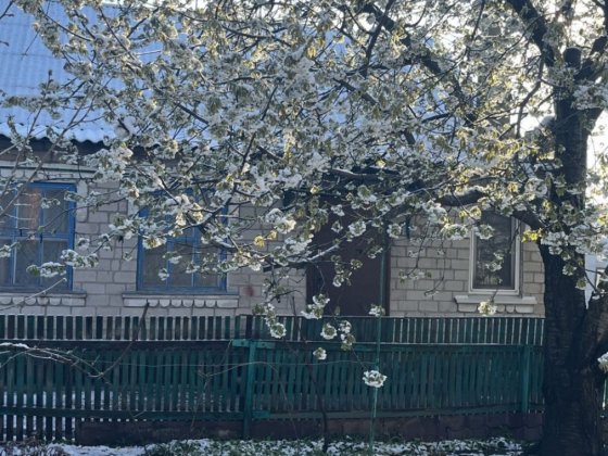 Здається будинок у м.Вільнянськ Вольнянск