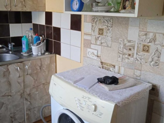 оренда 2-х кім квартири по В. Великого Дрогобыч