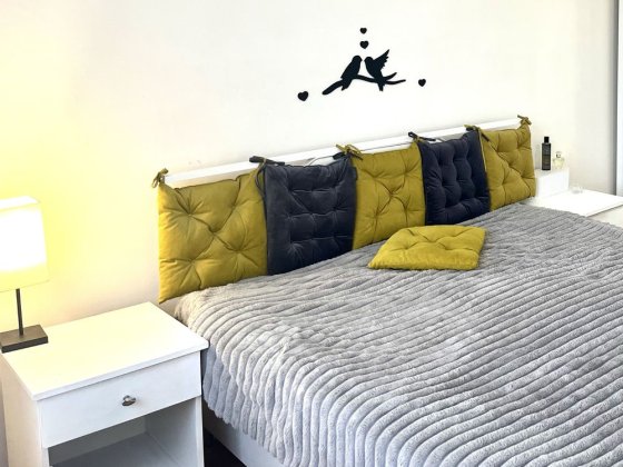 Оренда 3х км.кв в центральній частині міста біля Латориці Мукачево