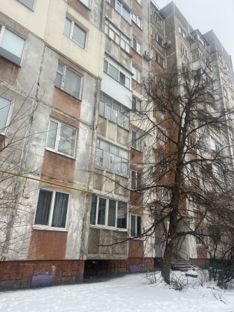 Здам 3х кімн квартиру , ЦЕНТР ( МОЖНА З ТВАРИНАМИ) - фото 1