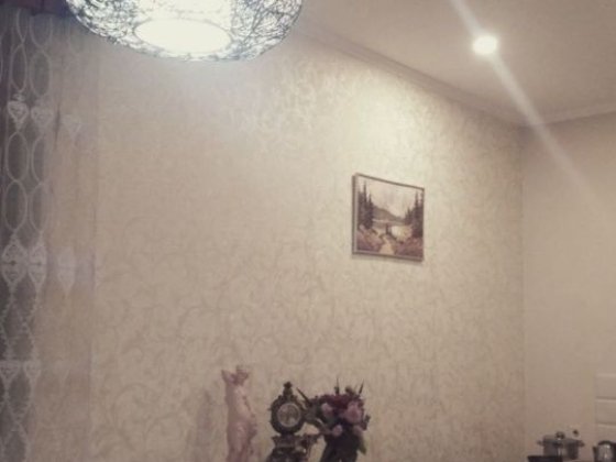 Власник. Здам потижнево. Центр міста. Луцк