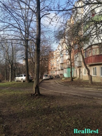 Оренда / Квартира / вул. Корольова, Ювілейний, Рівне - фото 1