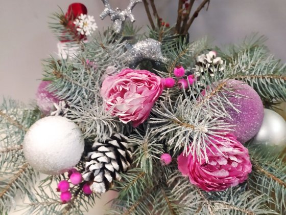 Оренда 1-2 Кім центр На Новий Рік Івано-Франківськ